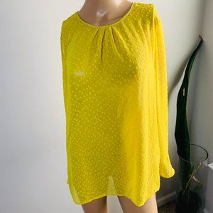 Banana Republic Long Sleeve See through Blouse